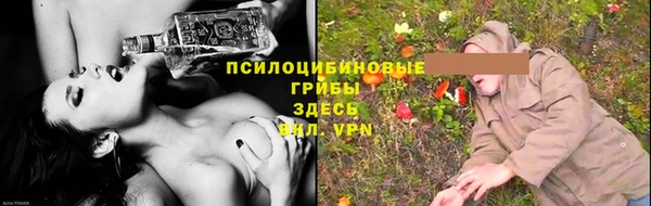 стафф Арсеньев