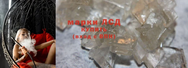 стафф Арсеньев