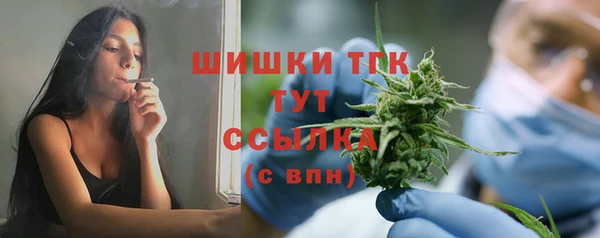 стафф Арсеньев