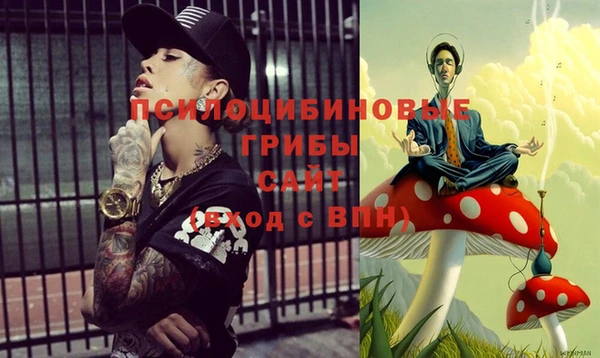 стафф Арсеньев