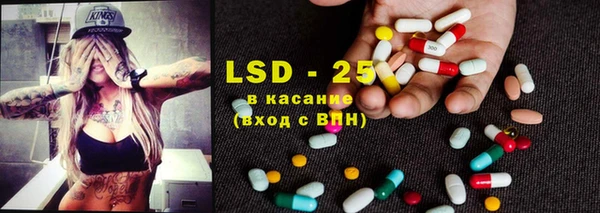 стафф Арсеньев