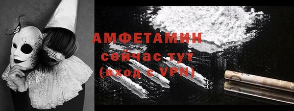 гидра Аркадак
