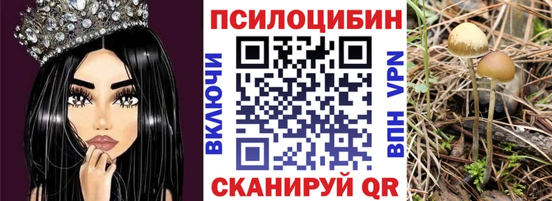 Псилоцибиновые грибы ЛСД Собинка